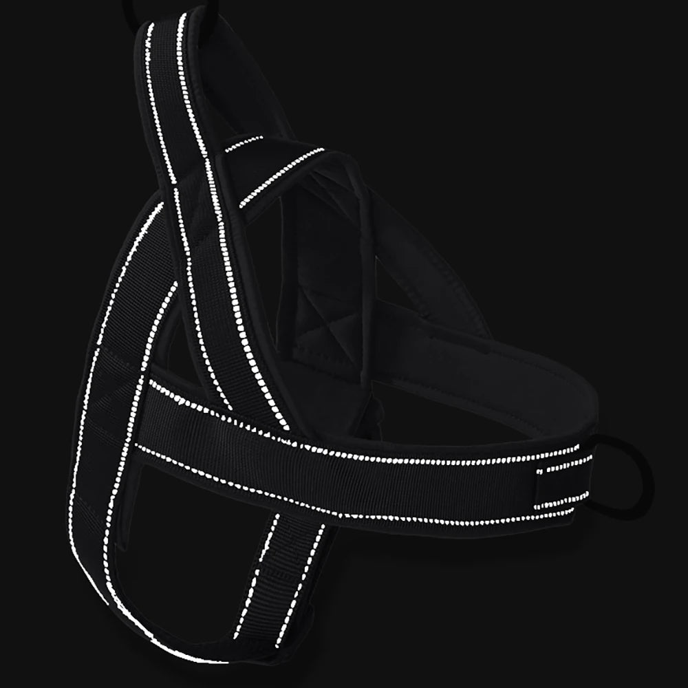 Harnais Anti-Traction Noir WoofyControl™ – Confort, Sécurité et Maîtrise Sans Tirer